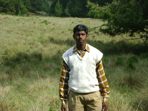 ఆ నీలగిరులలో ...