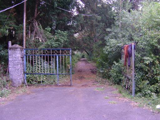 ఆ నీలగిరులలో ...